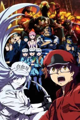 Hataraku Saibou BLACK